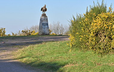 Le coq de la grande bosse, au milieu du camp ; provient du monument aux morts de Condé-Smendou, Est Algérie