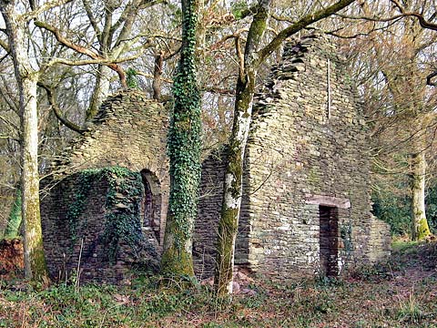 Ruines de la chapelle Sainte Anne